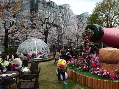 P3280041.JPG