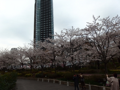 P3280037.JPG