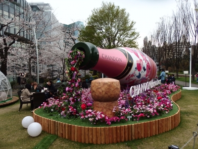 P3280040.JPG