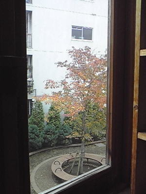 紅葉3