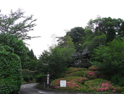 鹿児島5