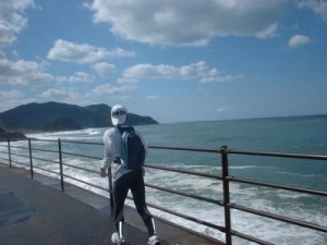 糸島lsd