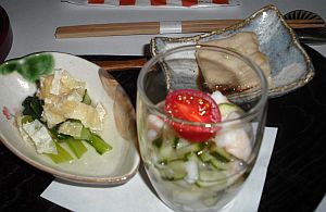 oisi01