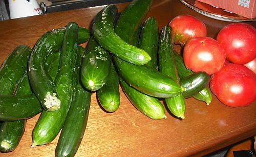 野菜