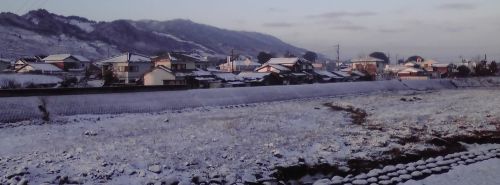 ゆきけ03