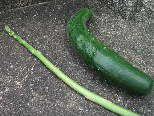 kon03