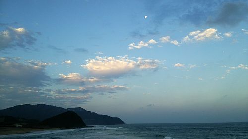 こすもす01