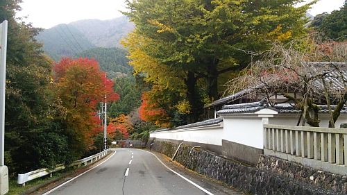 紅葉05