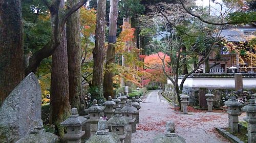 紅葉07