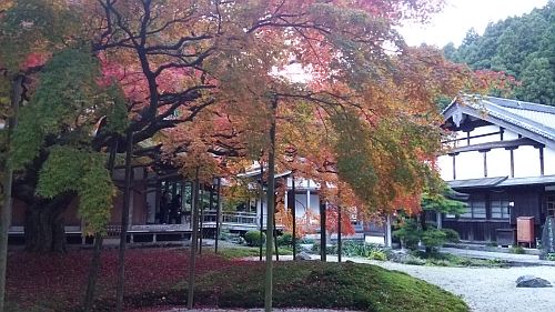 紅葉08