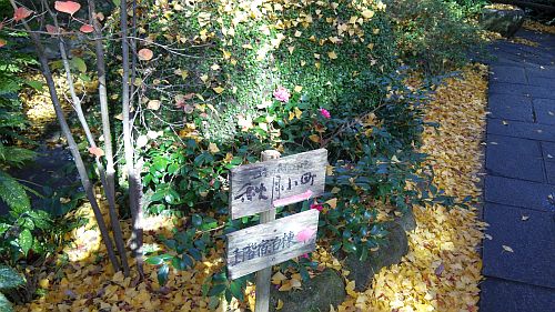 秋月05