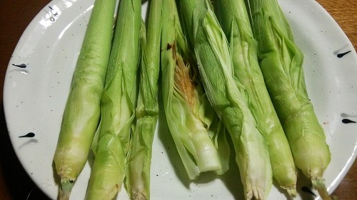 紫陽花04