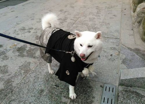 お父さん