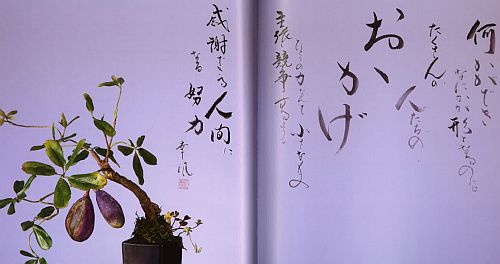 奥泉02