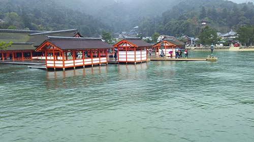 miya14