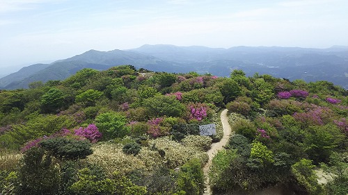 井原09