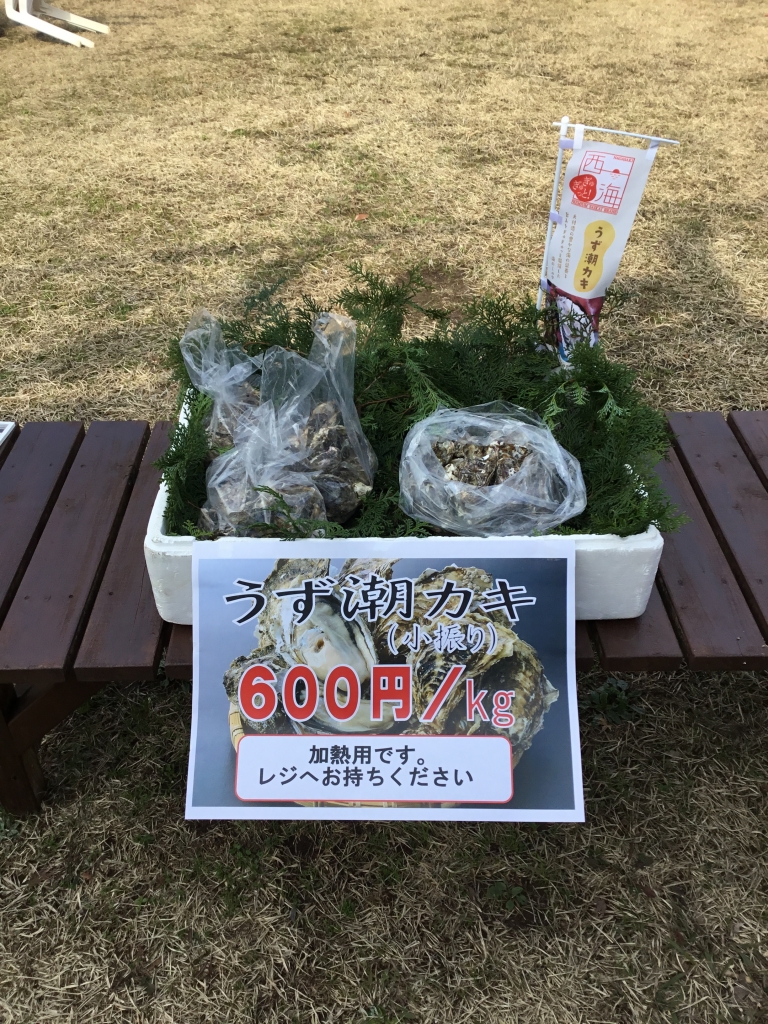 道の駅さいかいみかんドームブログ