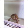 クリックで挿入 クリックで挿入
