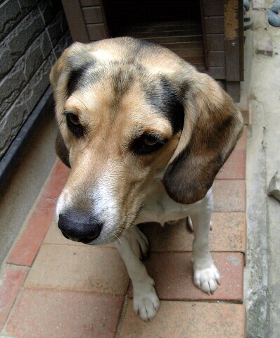 20061022_258809.jpg