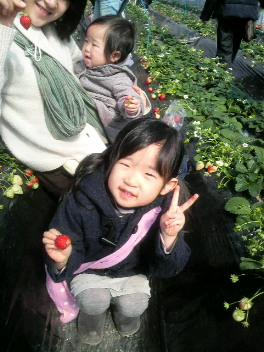 2009031522070000.jpg