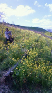 200903151058000.jpg