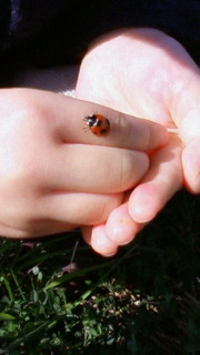 200903151054000.jpg