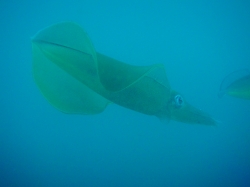 P13071402