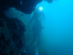 P13072704