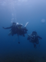 P15081703