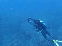 P15111103
