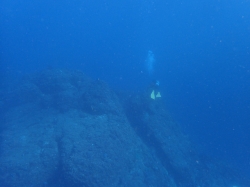 P15112403