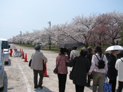 PL会場に到着