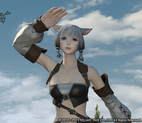 20130812-1.png
