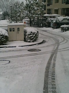 20060121_114433.jpg