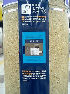 20061130_306212.jpg
