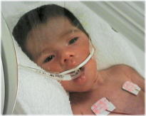 aoi20060222