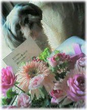 flower_aoi