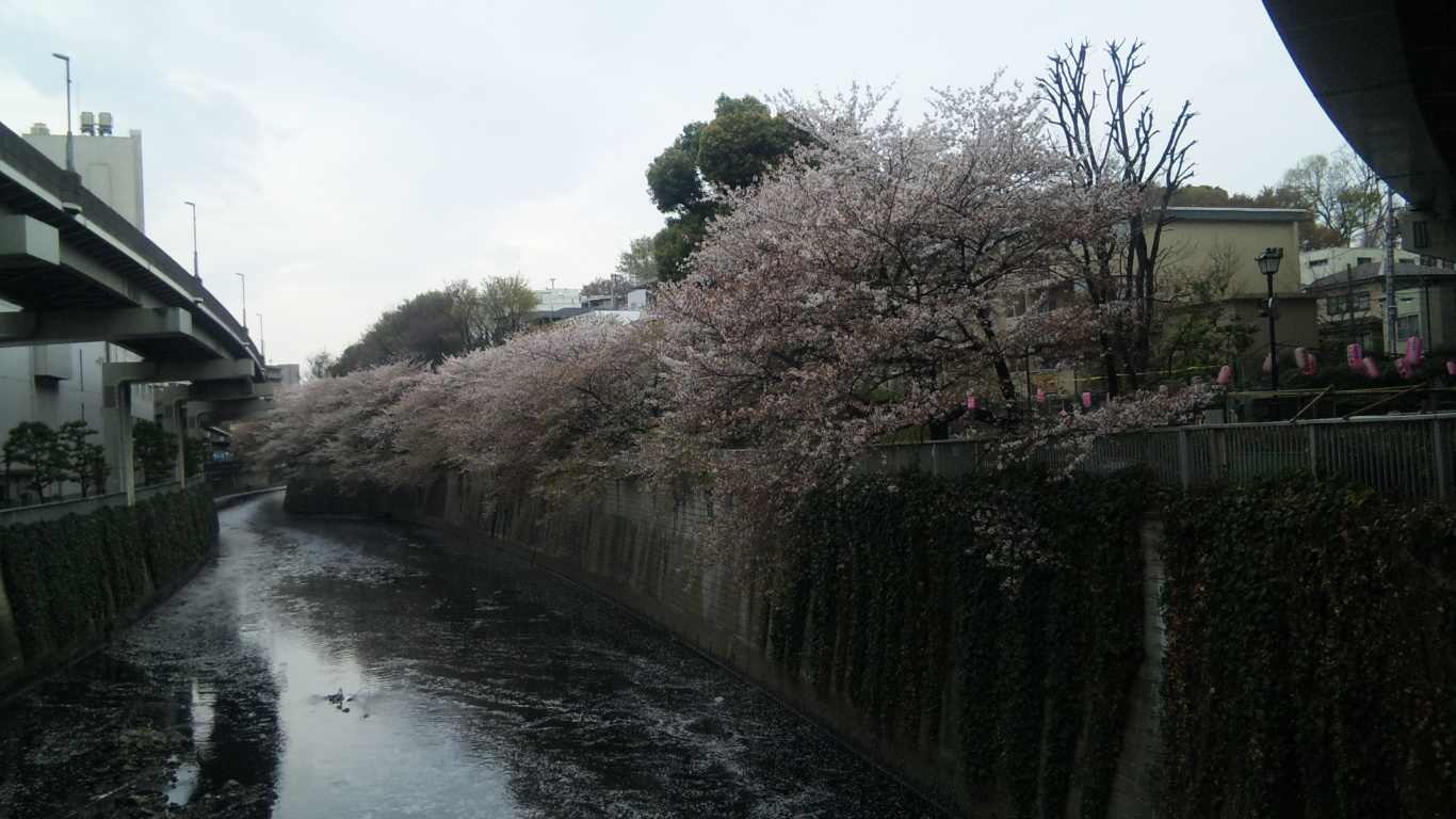 名人戦第一局で椿山荘に行きました あたけのぶろぐ