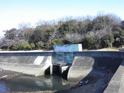 大江川緑地