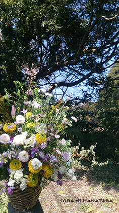 大学院へお届けの卒業の花を@柏市内へお届け