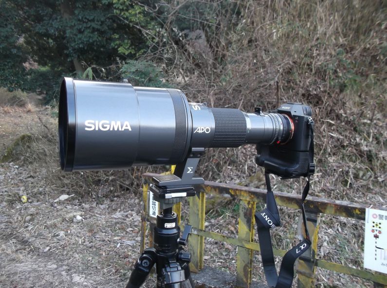 ニューフェース Sigma APO 500mmF4.5 | カメラほんのかけだし ニューフェース Sigma APO 500mmF4.5 | カメラほんのかけだし