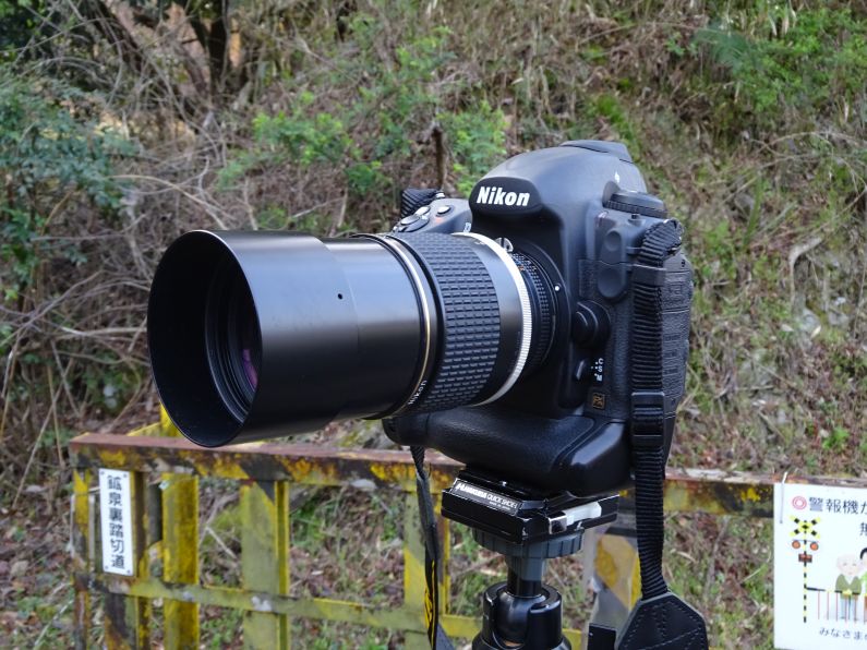 Ai Nikkor 180mmF2.8 ED を使ってみる | カメラほんのかけだし