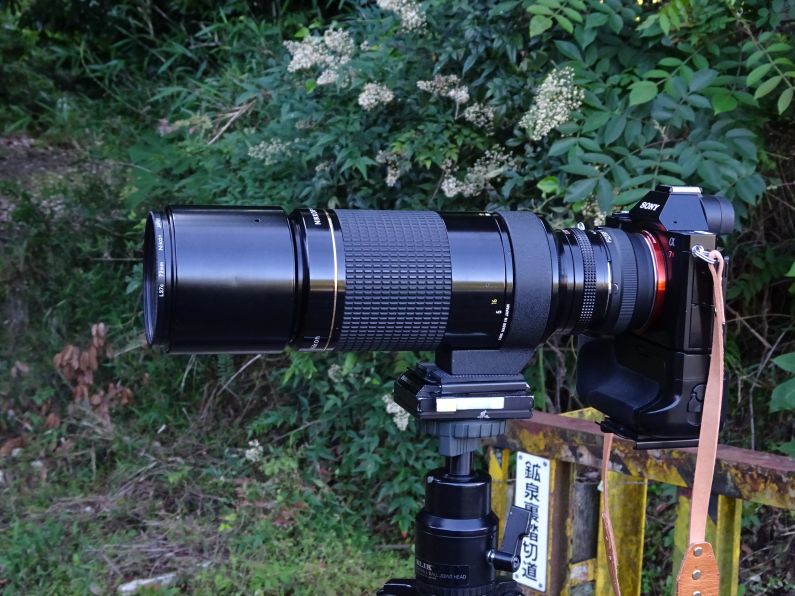 Ai Nikkor ED400mmF5.6を使ってみる | カメラほんのかけだし Ai Nikkor ED400mmF5.6を使ってみる | カメラほんのかけだし