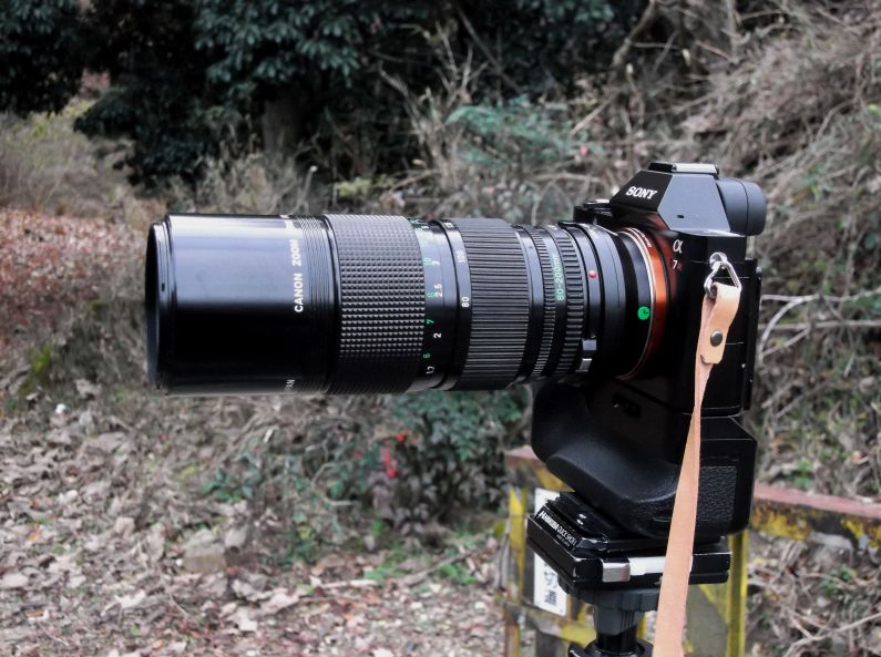 Canon newFD80-200mm F4 を使ってみる | カメラほんのかけだし Canon newFD80-200mm F4 を使ってみる | カメラほんのかけだし