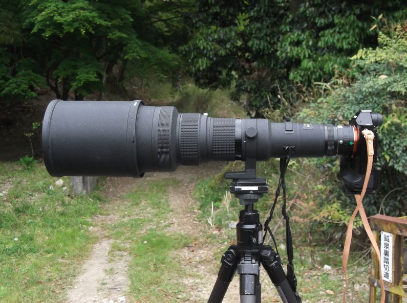 Ai Nikkor 500mmF4 P を使ってみる | カメラほんのかけだし Ai Nikkor 500mmF4 P を使ってみる | カメラほんのかけだし