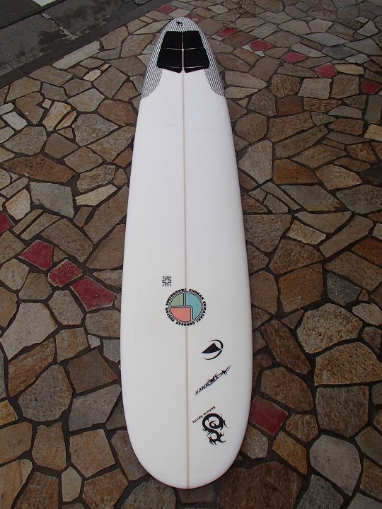 EPS超軽量ロングボード - サーフィン