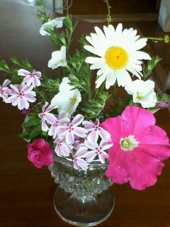 庭の花達