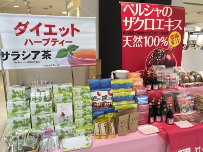 ナチュラルテラ サラシア茶90本×3 新品 突き合わさ