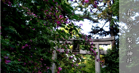 梨木神社