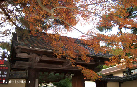 玉林院の紅葉